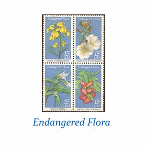 15c Sellos de flora en peligro de extinción / Paquete de 50 / Sellos postales de EE. UU. Vintage sin usar / Trillium / Broadbean / Primrose / Wallflower / Flowers