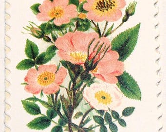 Vijf botanische tuinpostzegels 60c.. Ongebruikte Amerikaanse postzegel.. Perfect voor huwelijksuitnodigingen, bewaar deze datum, RSVP's. Pak van 5 | Victoriaans