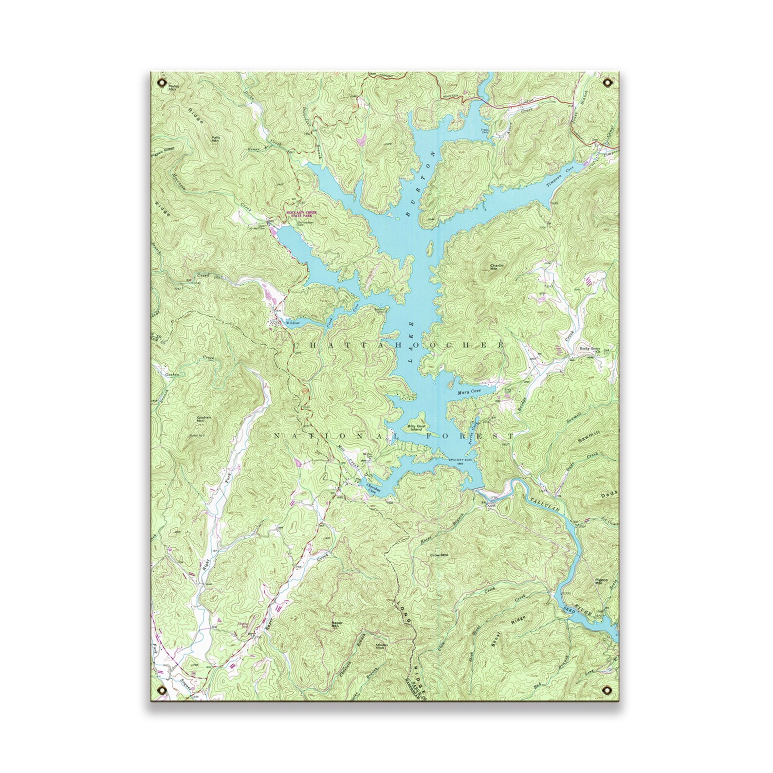 Lake Burton GA 1957 Topo Map Sign / Made to Order Etsy