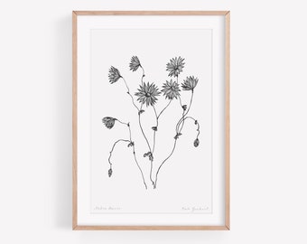 Australian Native Daisies Art Print