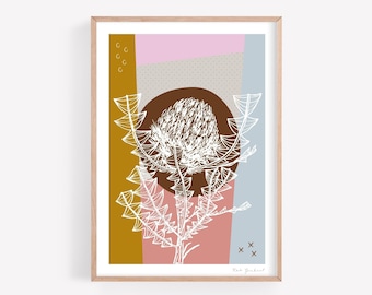 Colourful Australian Banksia Flower Art Print