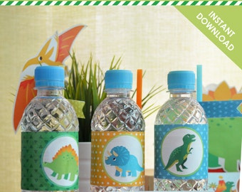 Dinosaur Party Water Bottle Wrapper | INSTANT Download Digital Printable PDF | Dino DIY Decoration | Trex Stegosaurus Triceratops