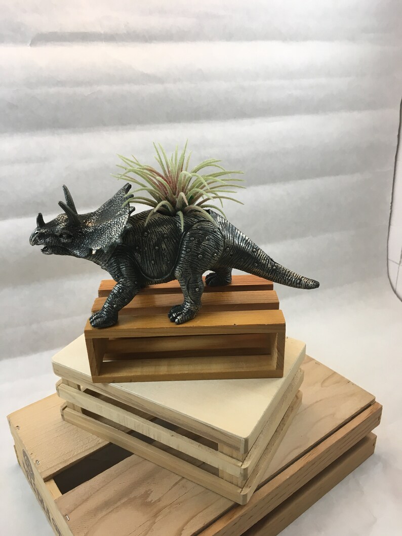 Hand Refinished Repurposed Toy Dinosaur Planter comes with a small air plant.