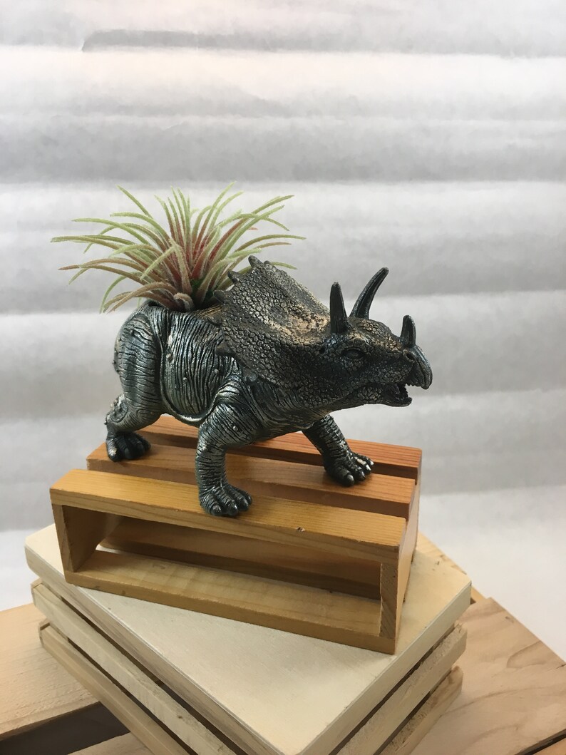 Hand Refinished Repurposed Toy Dinosaur Planter comes with a small air plant.
