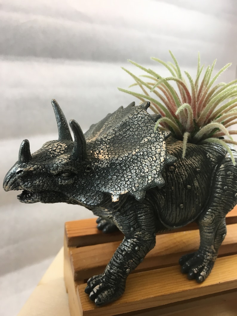 Hand Refinished Repurposed Toy Dinosaur Planter comes with a small air plant.
