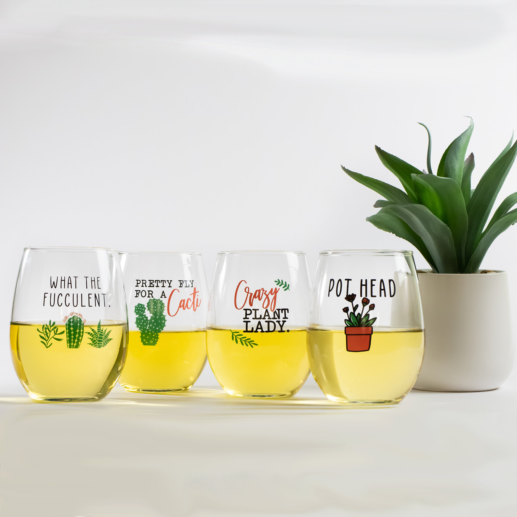 Succulent Plant Cactus Gifts for Women- Set of 2 Funny Wine Glasses 15oz - Plant Lover Gift Mug - What The Fucculent- Pot Head Crazy - Plant Lady