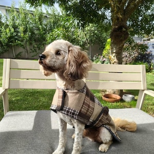 May include: A dog with light-colored fur wearing a brown and tan plaid coat sits on a grey cushion on a white bench. The dog is outside in a sunny setting, with green foliage in the background.