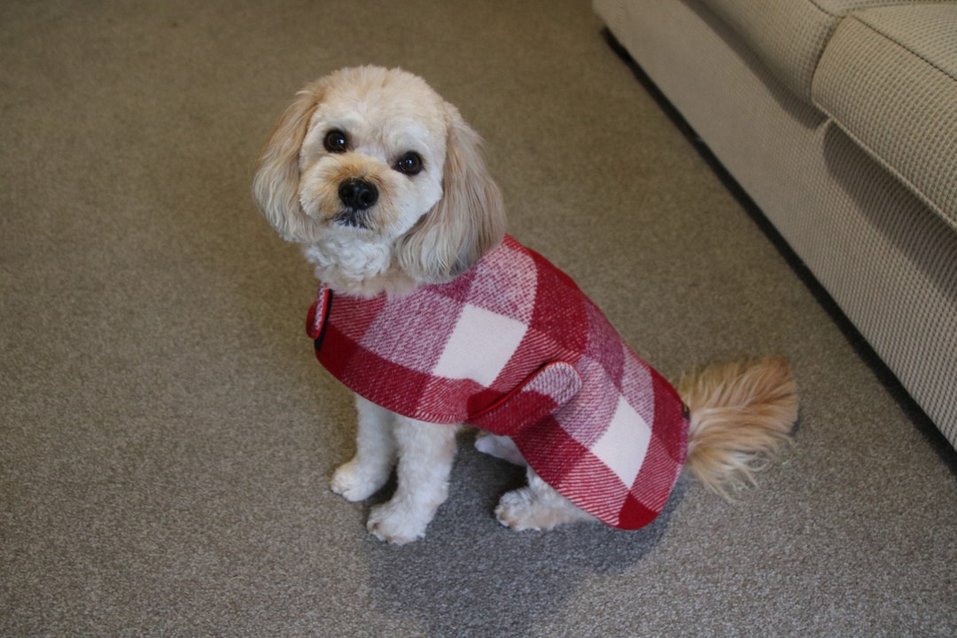 Upcycled Burgundy/cream Vintage Blanket Dog Coat Upcycled Dog Etsy