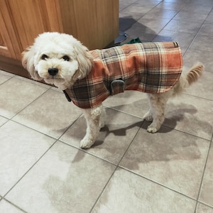 May include: A small, white dog wearing a brown and orange plaid dog coat. The dog is standing on a tiled floor.