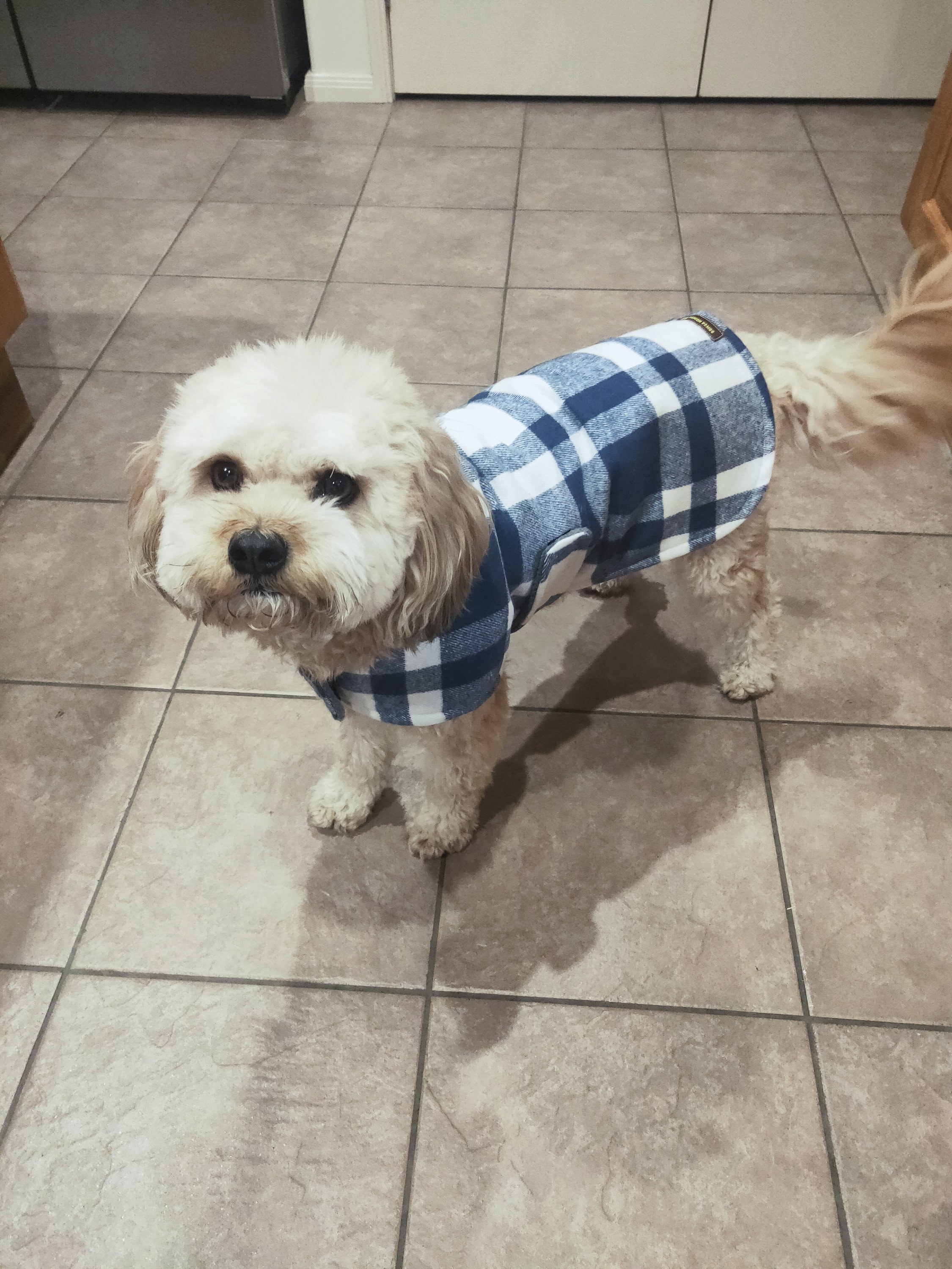 Medium Dog Coat Medium Navy Plaid Dog Coat Hand Made Dog Etsy Australia