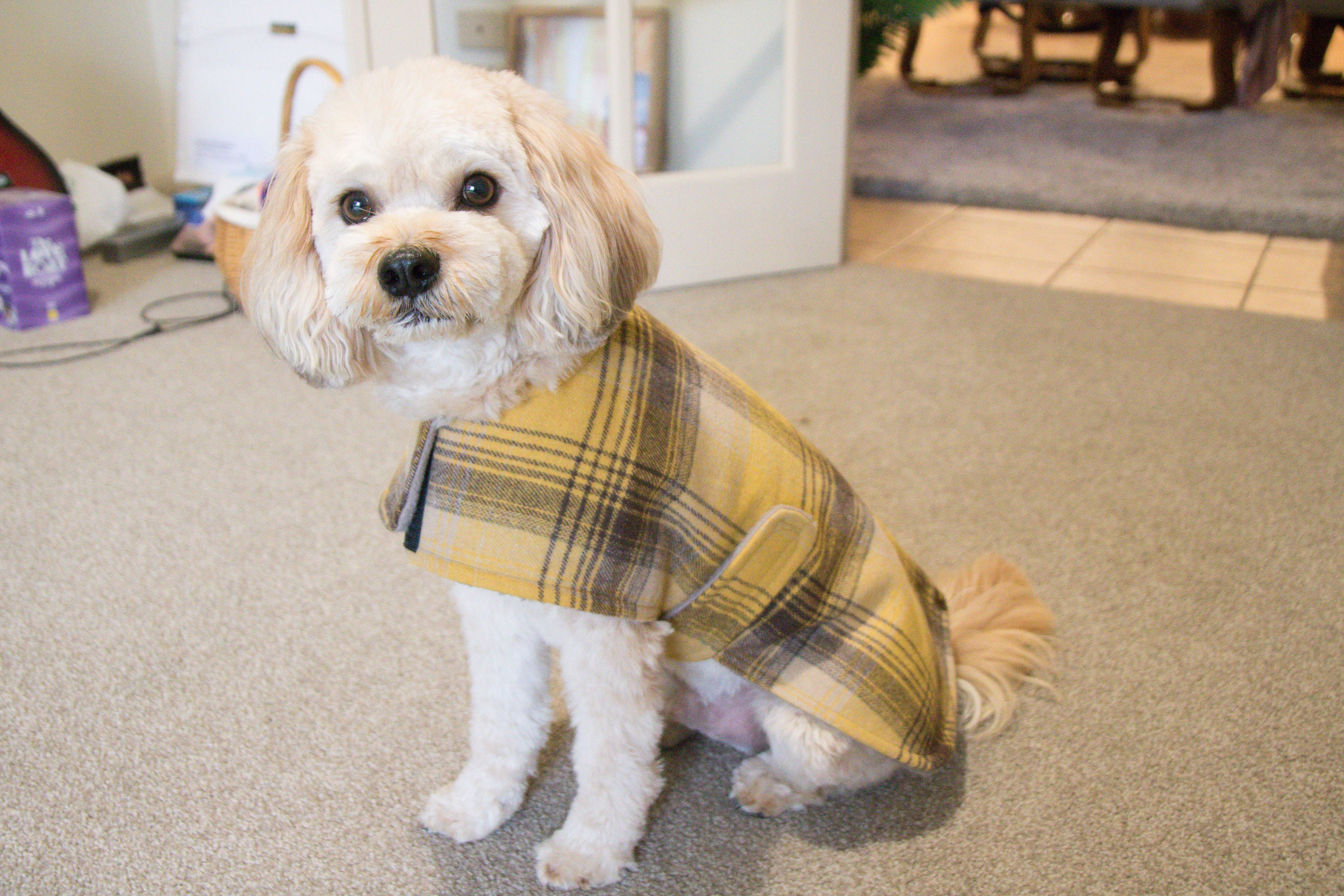 Burberry Dog Clothes Etsy Australia
