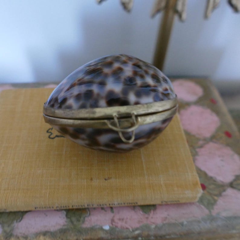 May include: A small, oval trinket box made from a speckled seashell. The box has a brass-coloured metal hinge and clasp. It rests on a tan-coloured book.