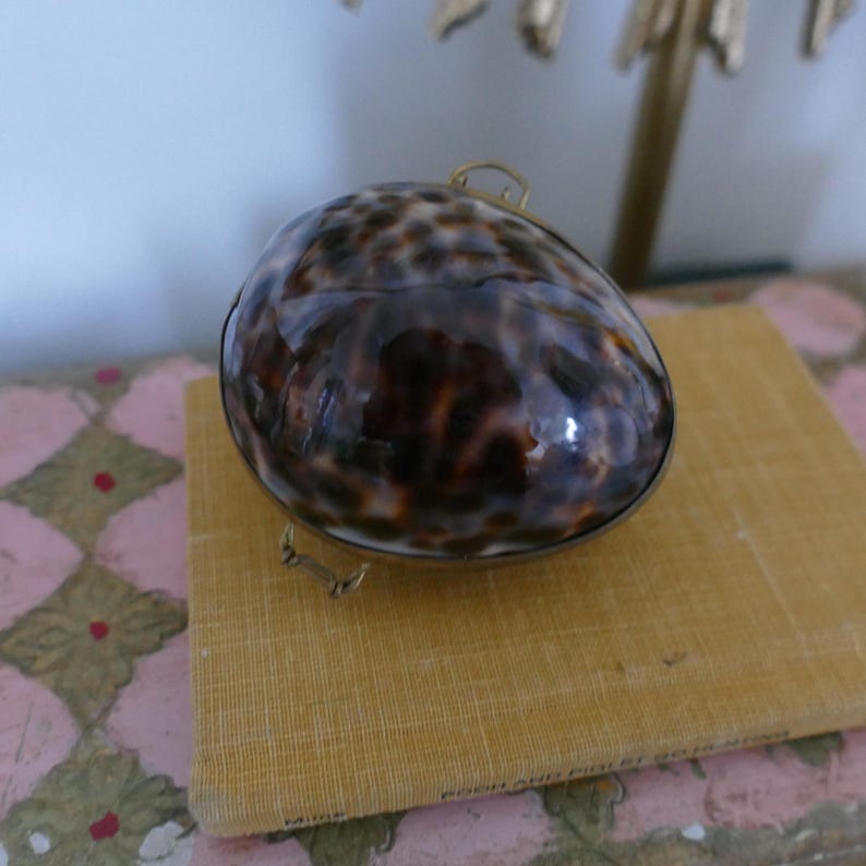 May include: An oval shell with a brown and tan spotted pattern, set in a silver-coloured metal frame. The shell sits on a small, square, yellow fabric-covered box. The shell has a hinged top and a clasp. The shell is a decorative item.