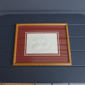 May include: A rectangular framed wall art piece featuring a white embossed seashell centered on a cream background. The artwork is surrounded by a deep red mat and a light brown bamboo-style frame. The text Queen Conch is printed below the shell.