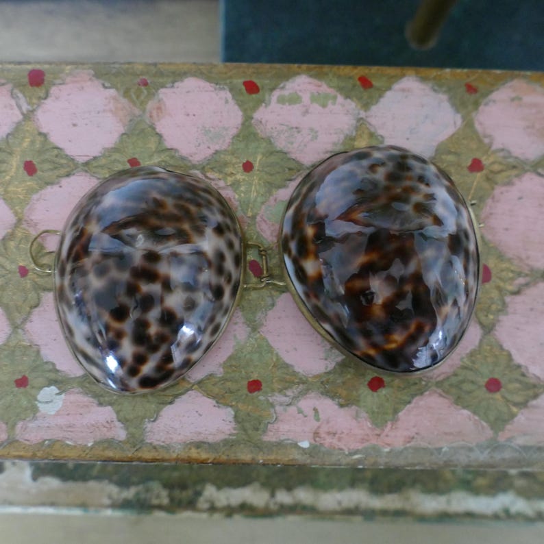 May include: Two oval-shaped, shell-like objects with a speckled pattern of brown and cream, connected by a thin, gold-coloured metal piece. The shells have a glossy finish, and are set against a pink and green patterned surface.