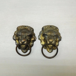 Może przedstawiać: Dwa antyczne kołatki do drzwi z mosiądzu w kształcie głowy lwa. Każdy kołatka przedstawia szczegółową twarz lwa z uchwytem w kształcie pierścienia. Mosiądz ma postarzany, matowy wygląd, dodający uroku vintage.