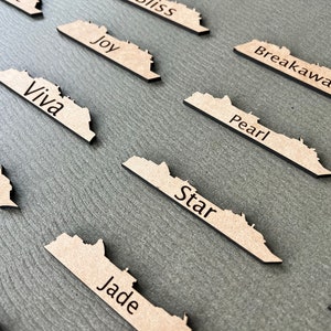 May include: Wooden cutouts in the shape of a state, each with a different word engraved in black. Words include "Viva", "Sky", "Joy", "Breakaway", "Pearl", "Star", and "Jade". The cutouts are arranged on a gray surface.