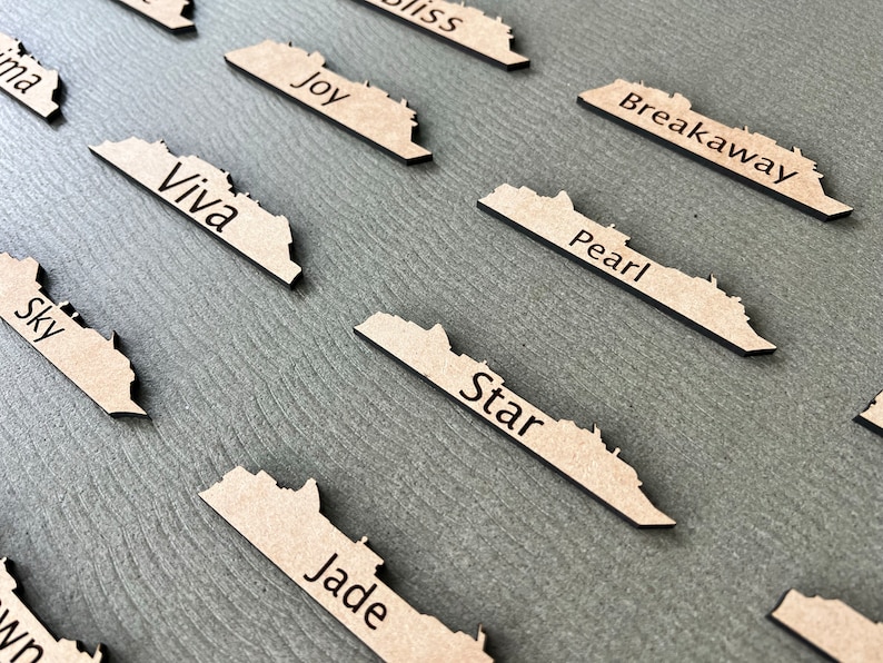 May include: Wooden cutouts in the shape of a state, each with a different word engraved in black. Words include "Viva", "Sky", "Joy", "Breakaway", "Pearl", "Star", and "Jade". The cutouts are arranged on a gray surface.