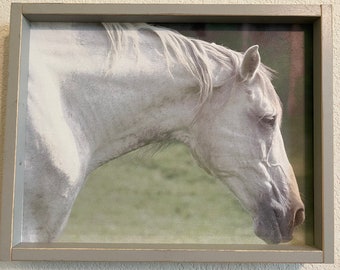 Framed White Horse Farmhouse Art Wood/Metal 11" x 14" Wall Decor Equine Equestrian Horseback Riding Chestnut Gray Dam Filly Foal