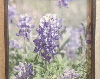 Framed Bluebonnets Farmhouse Wood/Metal Wall Art Lupine Wildflowers Texas Hill Country Decor Pictures