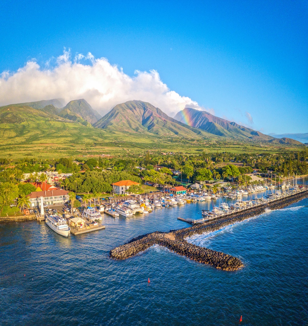 Laputa CD13枚セット/深海 SHAPE 眩暈 heaven他 Laputa CD13枚セット/深海 SHAPE 眩暈 heaven他 【公式通販】