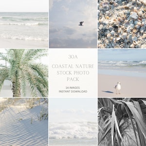Coastal Nature Brand Photos, 30A Beach Stock Images for Websites and Social Media, Neutral Coastal Aesthetic, Instant Download