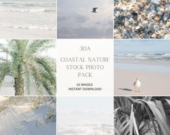 Coastal Nature Brand Photos, 30A Beach Stock Images for Websites and Social Media, Neutral Coastal Aesthetic, Instant Download