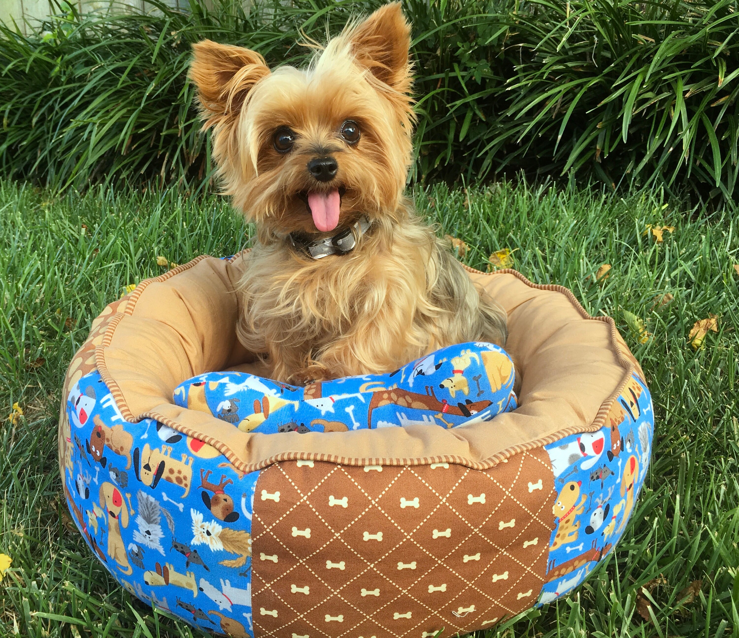 Round Donut Dog Bed With Memory Foam Cushion Small Dog Bed Etsy