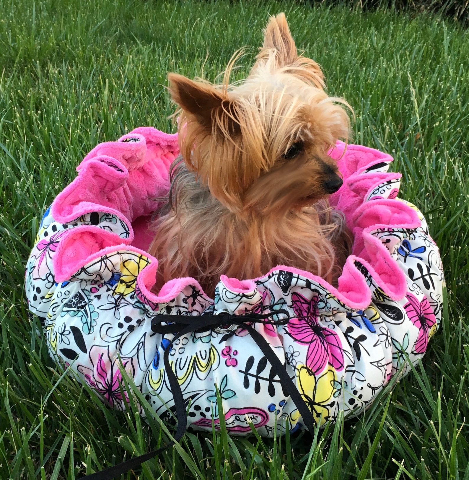 Drawstringstyle Dog Bed With Memory Foam Cushion and Etsy