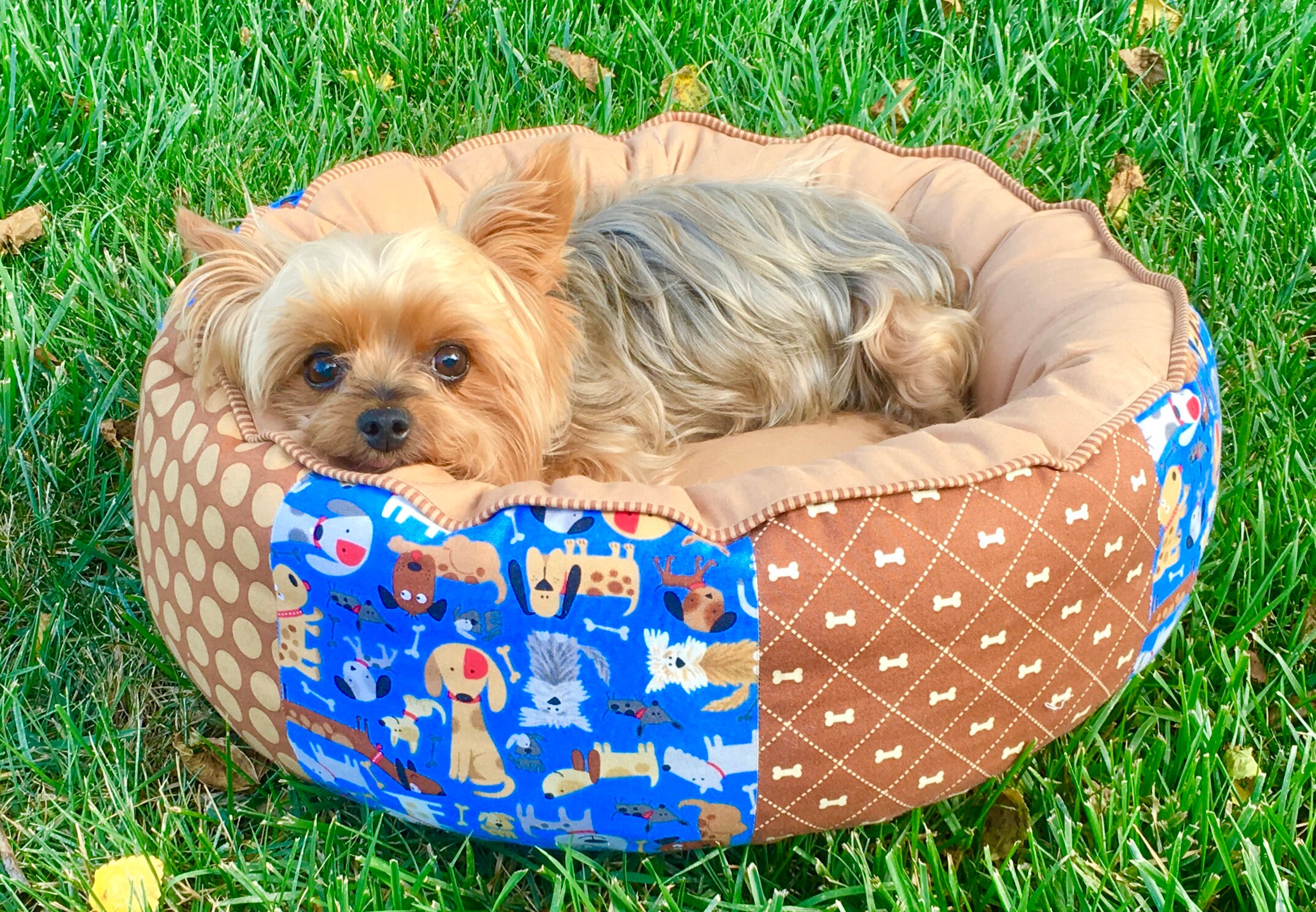 Round Donut Dog Bed With Memory Foam Cushion Small Dog Bed Etsy