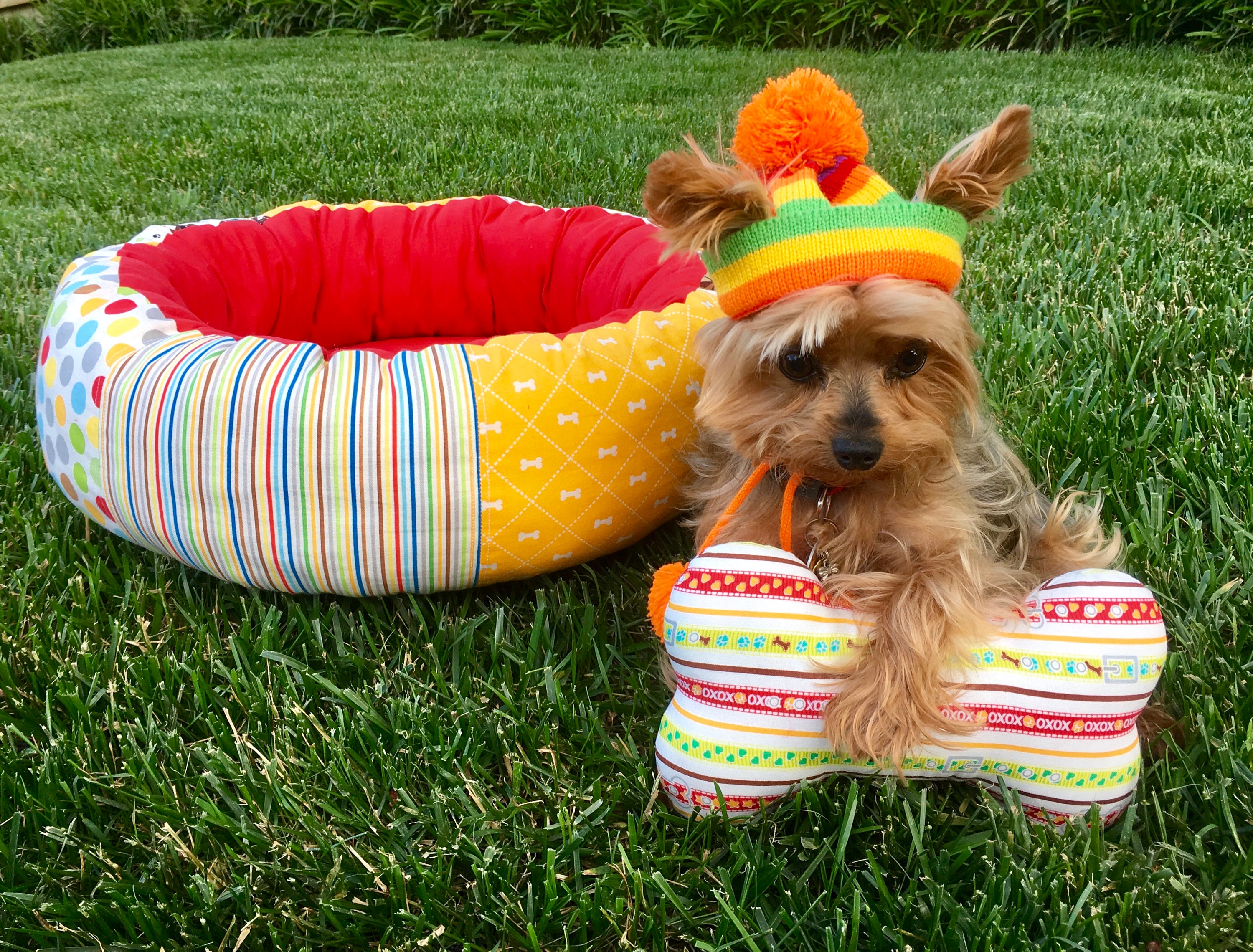 Reversible Round Donut Dog Bed With Memory Foam Cushion Small Etsy