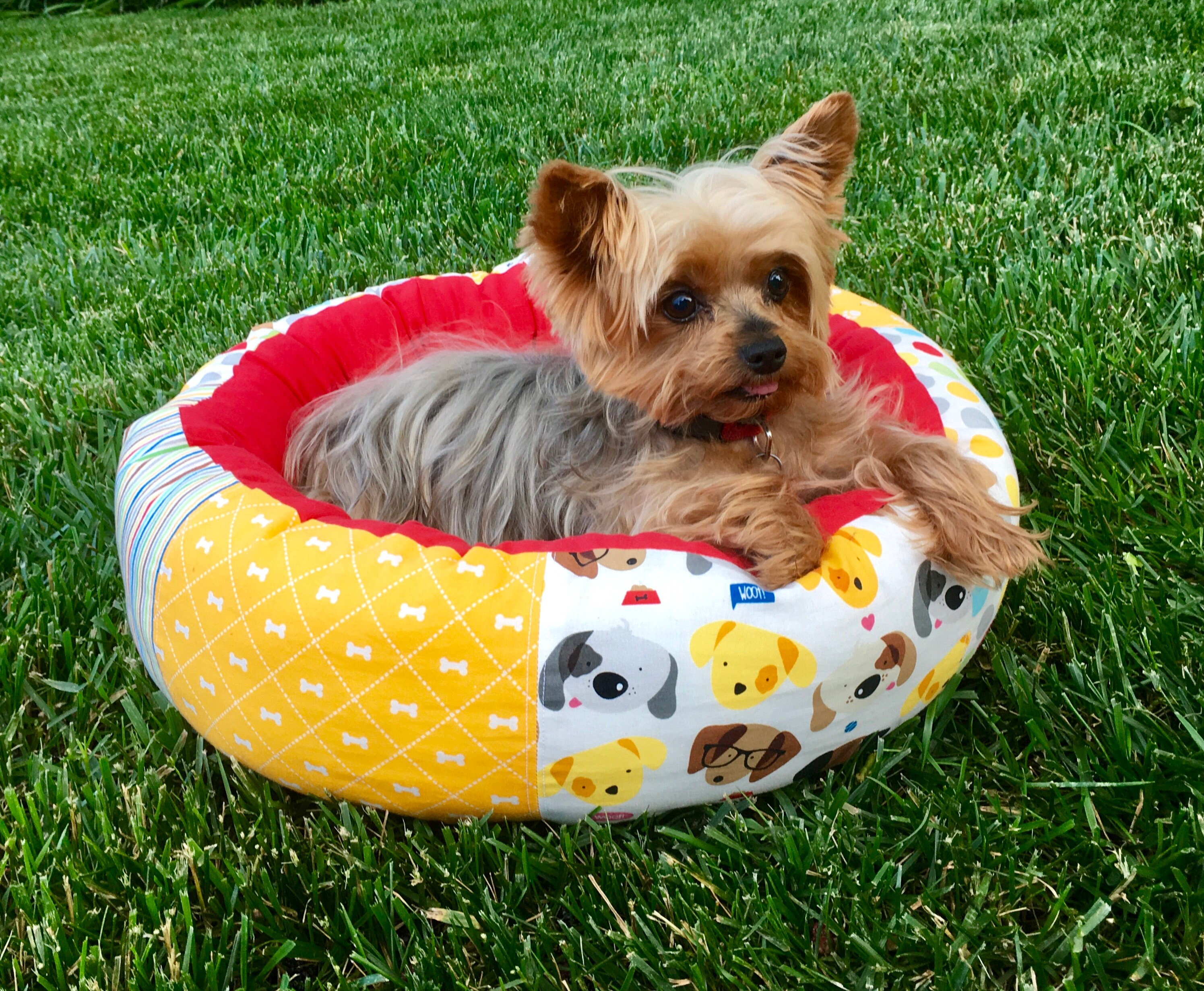 Reversible Round Donut Dog Bed With Memory Foam Cushion Small Etsy