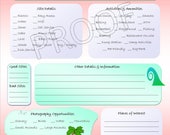 Campground/Beach Review -  Outdoor/Camping/Beach Theme