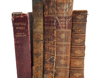 Books by the Metre: Distressed Leather-Bound