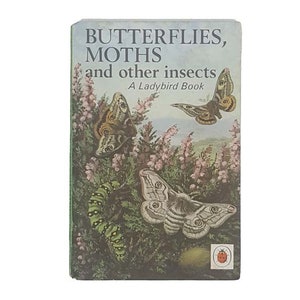 Ladybird 536: Butterflies, Moths and Other Insects