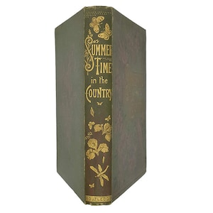 L&#39;heure d&#39;été à la campagne par le révérend Robert Aris Willmott - Routledge 1880