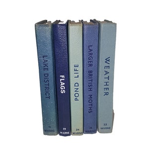 Collection Observer Five Book, bleu