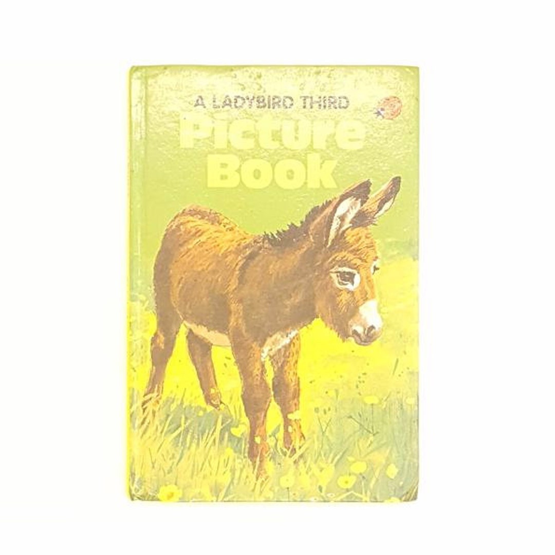 Ladybird 707 Picture Reading: Third Picture Book 1973 - Etsy UK
