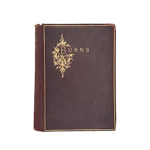 The Poetical Works of Robert Burns - Frederick Warne, 1889