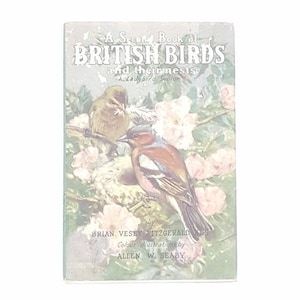 Ladybird 536 Nature: A Second Book of British Birds