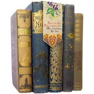 Books By The Foot: Highly Decorative Mixed Blue, Cream, Gold and Purple