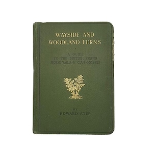 Könnte beinhalten: Ein grünes Vintage-Buch mit dem Titel "WAYSIDE AND WOODLAND FERNS" mit goldener Schrift und einer botanischen Illustration. Das Buch ist ein Führer zu britischen Farnen, Schachtelhalmen und Moosen, geschrieben von Edward Step.