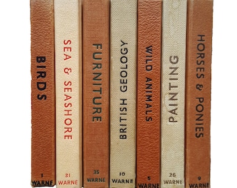 Observer Five Book Earth Tone Collection - Beige-Brown
