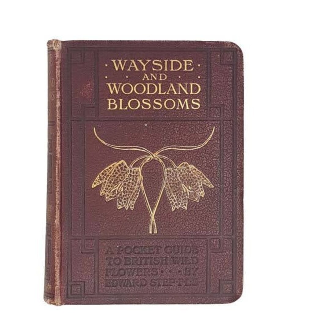 Wayside and Woodland Blossoms by Edward Step - Warne & Co - Etsy