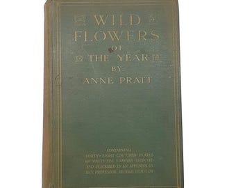 Wild Flowers of the Year by Anne Pratt - RTS