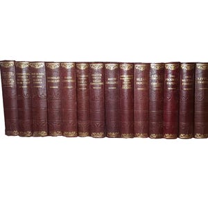 Op de afbeelding: Een collectie van veertien bordeauxrode boeken met goudkleurige letters op de ruggen. Elke rug is voorzien van decoratieve gouden filigraanpatronen aan de boven- en onderkant, waarbij de titels en de naam Dickens duidelijk in goud zijn gedrukt.