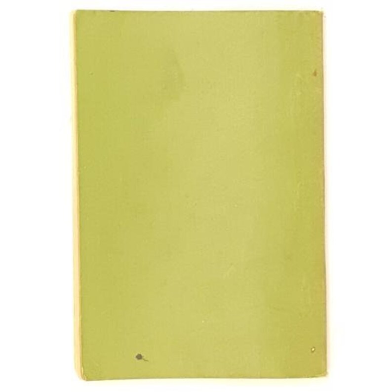 Op de afbeelding: Een effen groene boekomslag met een klein zwart vlekje in de rechterbenedenhoek.