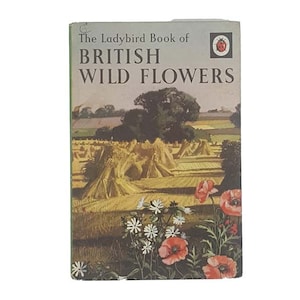 Marienkäfer 536: Britische Wildblumen