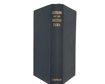 Britische Flora von W. H. Fitch und W. G. Smith – Reeve, 1949