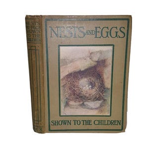 Nests and Eggs Shown to the Children by A. H. Blaikie - Nelson